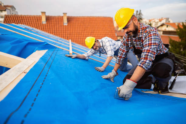 Best Storm Damage Roof Repair  in Caruthersville, MO